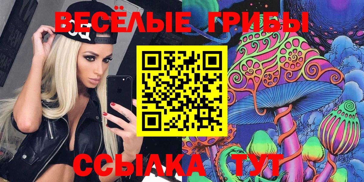 Псилоцибиновые грибы ЛСД  Вход с VPN  Галлюциногенные грибы Psilocybe  что такое наркотик  Зеленокумск 